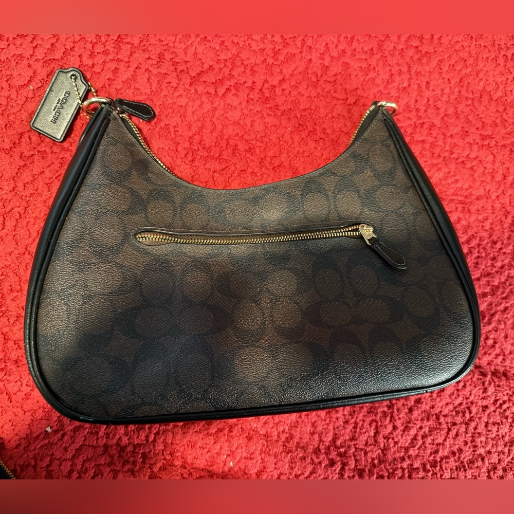 Teri Hobo Bag In Signature Canvas - Picture 3 of 6